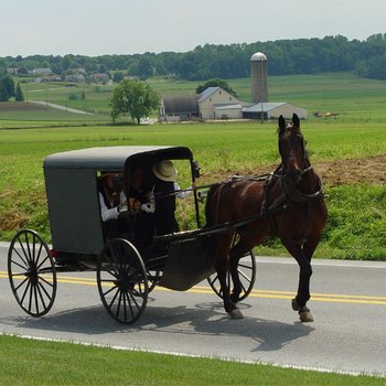 Amish