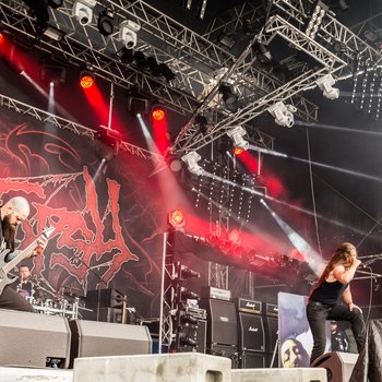 Cryptopsy