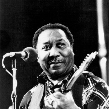 Muddy Waters