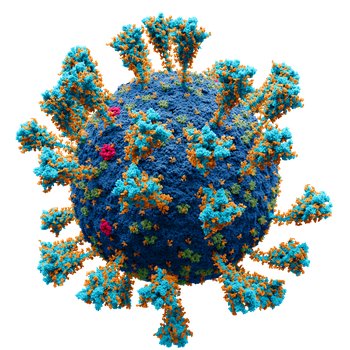 Virus