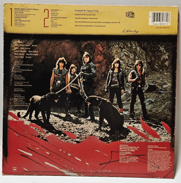 Heaven - Where Angels Fear To Tread LP - Metal - Ultrasonic Cleaned - Image 2