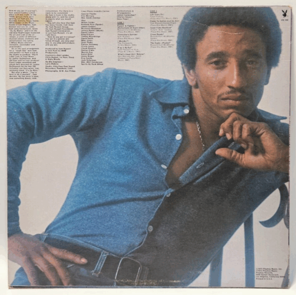 Sam Russell ââ What's Usual Ain't Natural - '73 funk soul - Ultrasonic Cleaned - Image 2