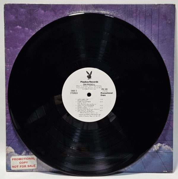 Sam Russell ââ What's Usual Ain't Natural - '73 funk soul - Ultrasonic Cleaned - Image 3
