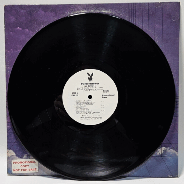 Sam Russell ââ What's Usual Ain't Natural - '73 funk soul - Ultrasonic Cleaned - Image 4
