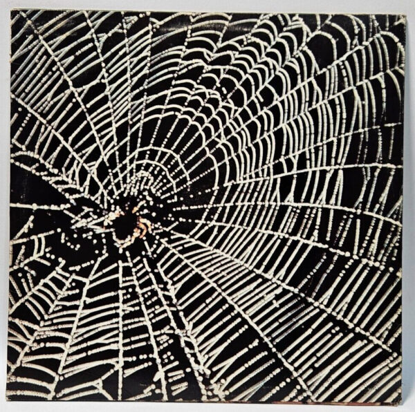Andy Zwerling - Spiders In The Night - PROMO KSBS 2036 EX - Ultrasonic Cleaned - Image 2