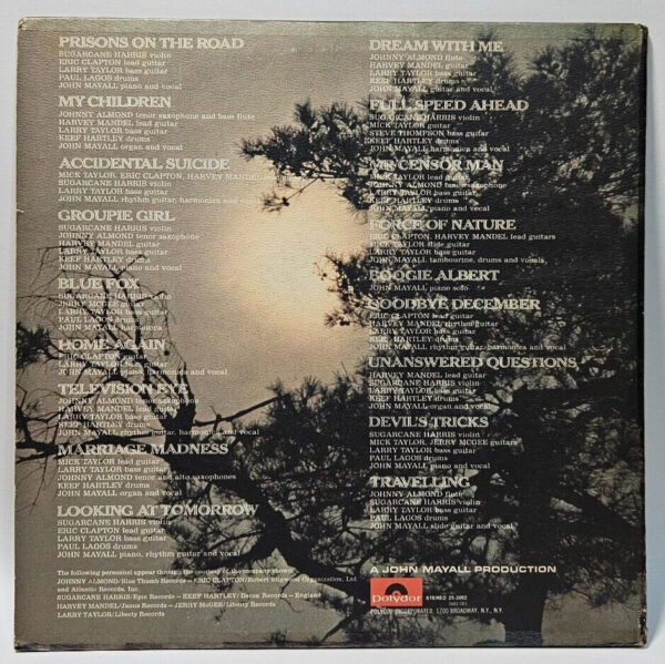 John Mayall - Back To The Roots Polydor â25-3002 HOLLYWOOD EX - Ultrasonic Clnd - Image 2