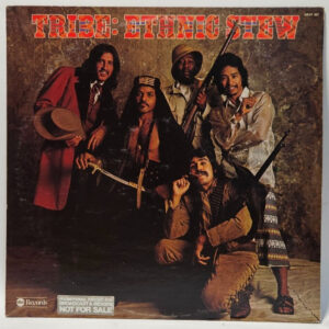 Tribe - Ethnic Stew - 1974 FUNK SOUL PROMO - EX - Ultrasonic Cleaned