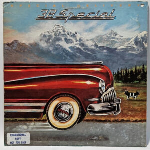 38 Special - Special Delivery - 1978 Southern Rock PROMO - EX - Ultrasonic Clean