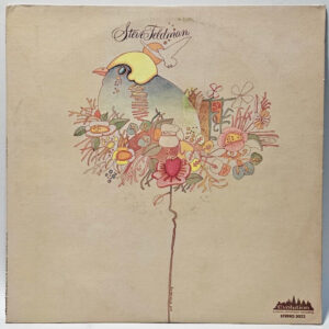 Steve Feldman - 1973 SOFT ROCK - EVOLUTION 3022 - EX - Ultrasonic Cleaned