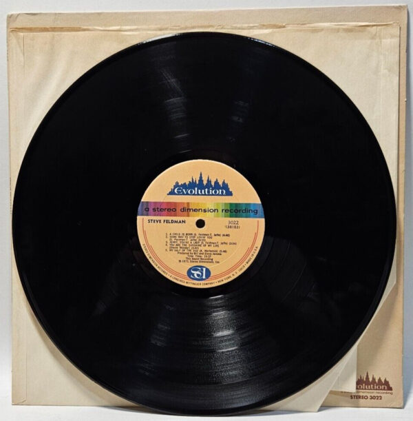 Steve Feldman - 1973 SOFT ROCK - EVOLUTION 3022 - EX - Ultrasonic Cleaned - Image 3