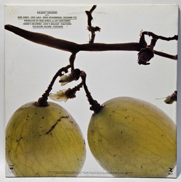 Wilbert Longmire - Champagne - 1979 JAZZ / FUSION - EX - Ultrasonic Cleaned - Image 2