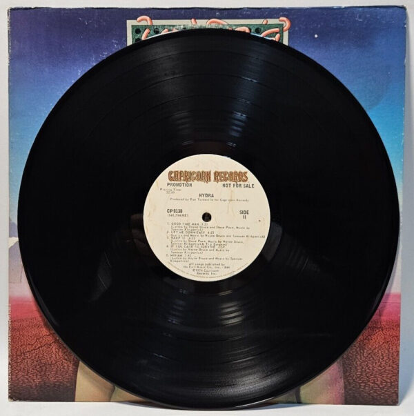 Hydra - 1974 Southern Rock / Hard Rock - PROMO - EX - Ultrasonic Cleaned - Image 4