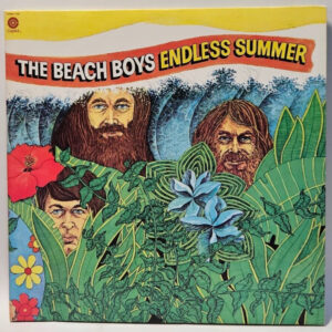 Beach Boys - Endless Summer - 1986 SURF ROCK - RE EX - Ultrasonic Cleaned