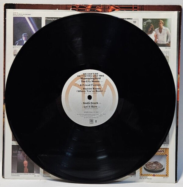 Hummingbird - We Can't Go On Meeting Like This - 1976 JAZZ - EX - Ultrasonic Cln - Image 4