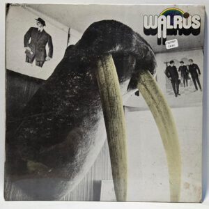 Walrus - Walrus - 1972 Rock - EX - Ultrasonic Clean
