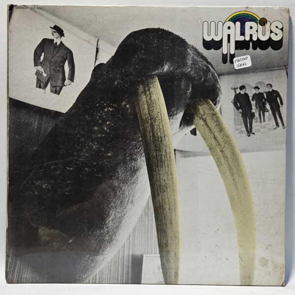 Walrus - Walrus - 1972 Rock - EX - Ultrasonic Clean