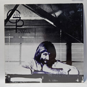 Gary Powell - The Music Is Everything - 1981 Rock, Pop - EX  - Ultrasonic Clean