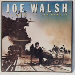 Joe Walsh - You Bought It - You Name It