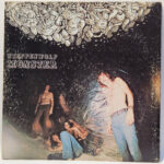 Steppenwolf - Monster