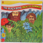 The Beach Boys - Endless Summer