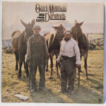 The Ozark Mountain Daredevils - Men From Earth