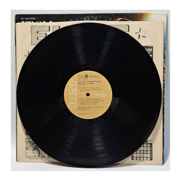Album cover image 3