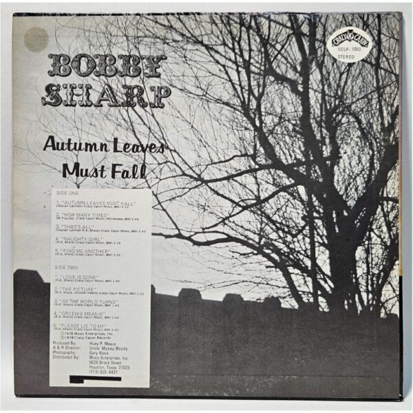 Album cover image 2
