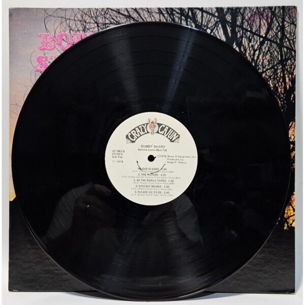 Album cover image 3