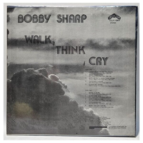 Album cover image 2