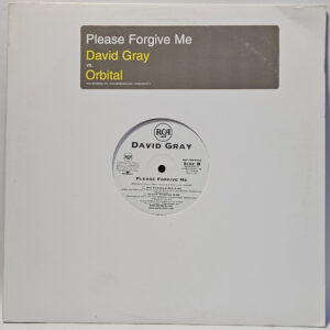 David Gray vs. Orbital - Please Forgive Me - 2001 - EX - Ultrasonic Clean