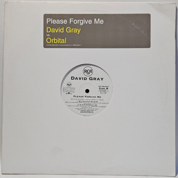 David Gray vs. Orbital - Please Forgive Me - 2001 - EX - Ultrasonic Clean