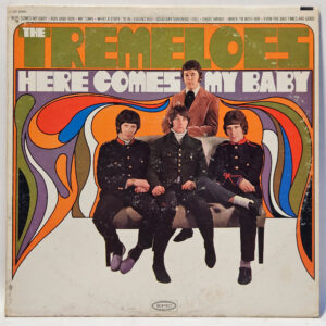 The Tremeloes - Here Comes My Baby - 1967 - EX - Ultrasonic Clean