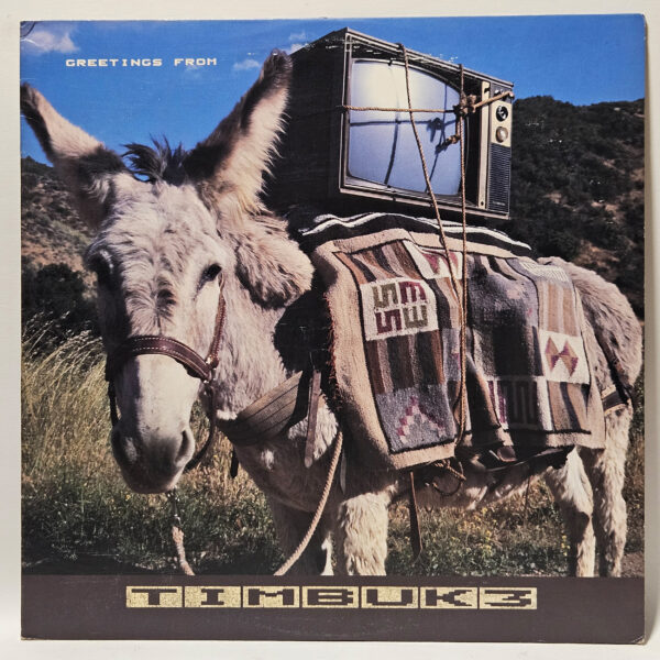 Timbuk 3 - Greetings from Timbuk 3 - 1986 - EX - Ultrasonic Clean