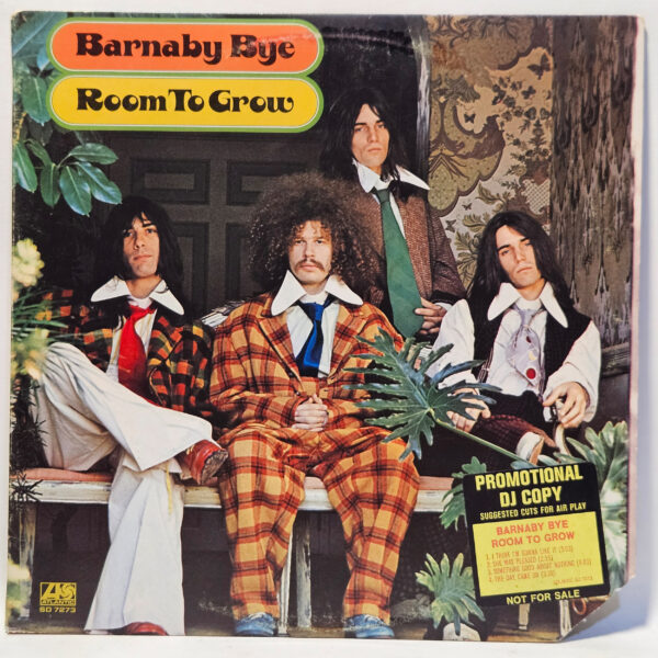 Barnaby Bye - Room To Grow - 1973 - EX - Ultrasonic Clean