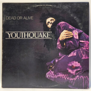 Dead Or Alive - Youthquake - 1985 - EX - Ultrasonic Clean