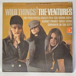 The Ventures - Wild Things!