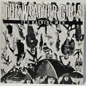 The Weather Girls - It's Raining Men