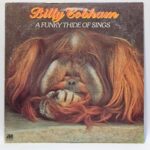 Billy Cobham - A Funky Thide Of Sings