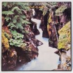 Cat Stevens - Back To Earth