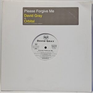 David Gray vs. Orbital - Please Forgive Me