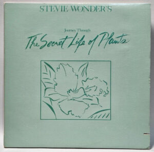Stevie Wonder - The Secret Life of Plants