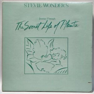 Stevie Wonder - The Secret Life of Plants