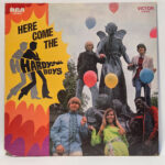 The Hardy Boys (3) - Here Come The Hardy Boys
