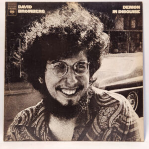 David Bromberg - Demon In Disguise