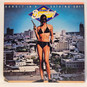 David Bromberg Band - Bandit In A Bathing Suit