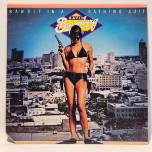 David Bromberg Band - Bandit In A Bathing Suit