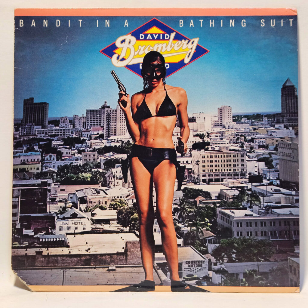 David Bromberg Band Bandit In A Bathing Suit 147014573975