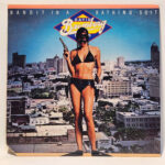 David Bromberg Band Bandit In A Bathing Suit 147014573975