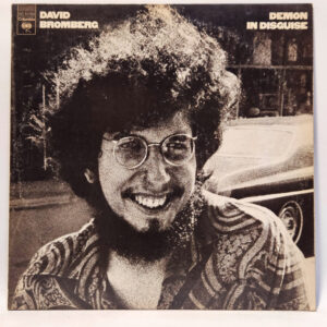 David Bromberg - Demon In Disguise
