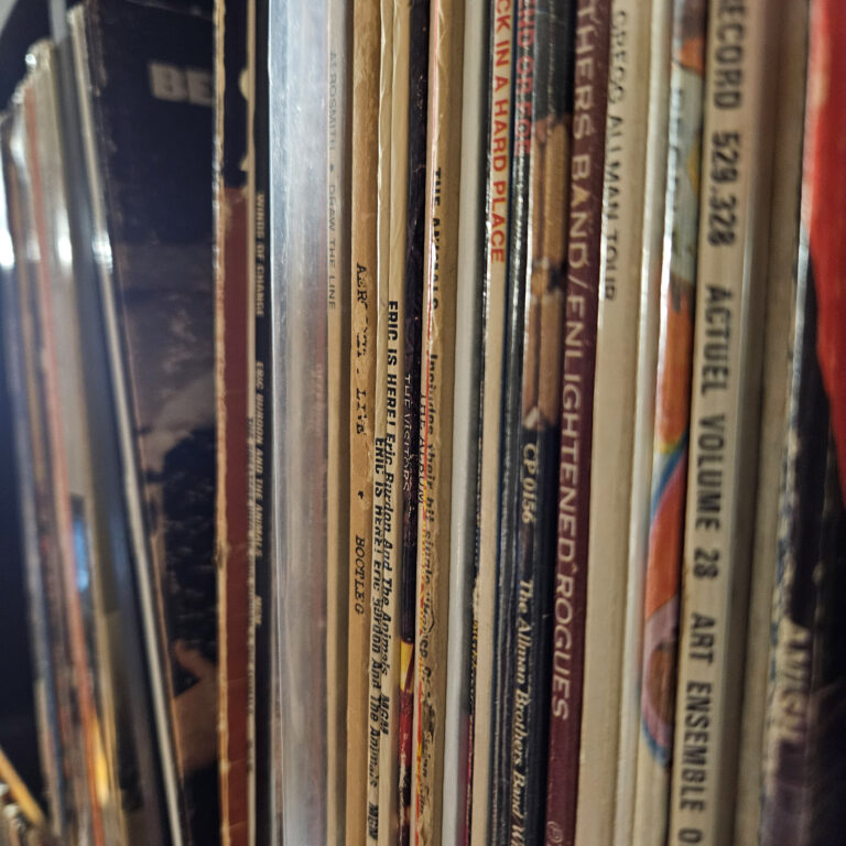 Vinyl records stored vertically on shelves with protective sleeves